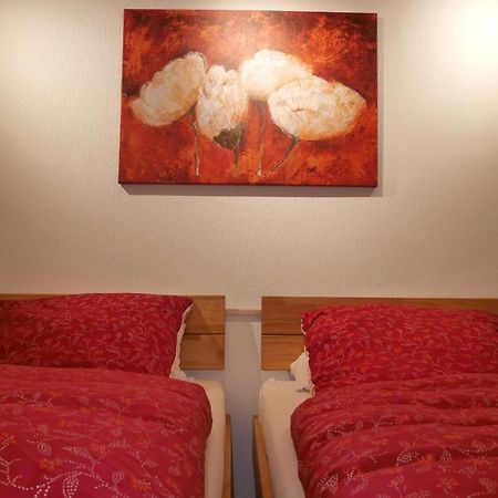 Ruhiges Apartment Nuernberg Sued Ost - Naehe Messe - Mit Wallbox Buitenkant foto